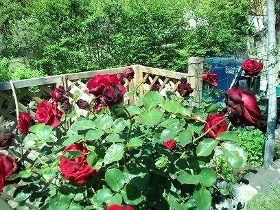 Bed & Breakfast Il Tarlo Bed and Breakfast Seneghe