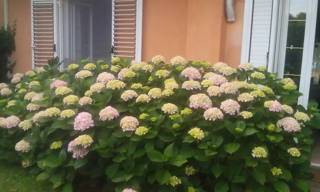 Il Tarlo Bed & Breakfast Seneghe Italy