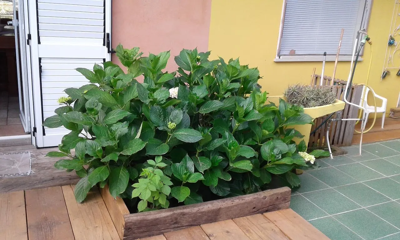 Il Tarlo Bed & Breakfast Seneghe 0*,  Italy